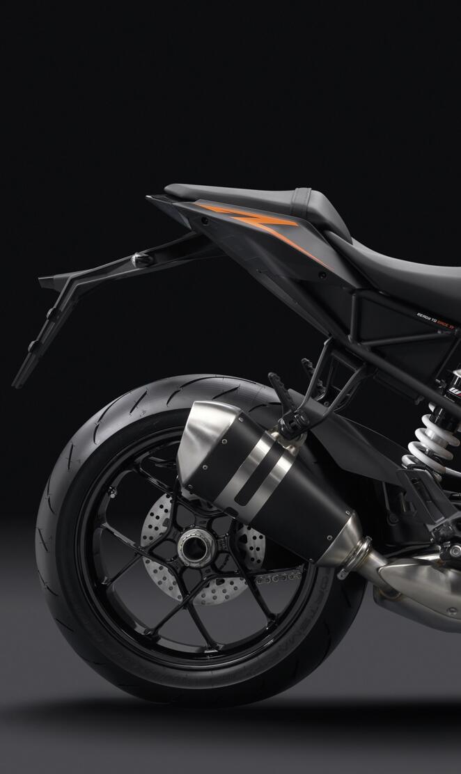 Duke Taillights Back