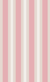 Preppy Pink Stripes