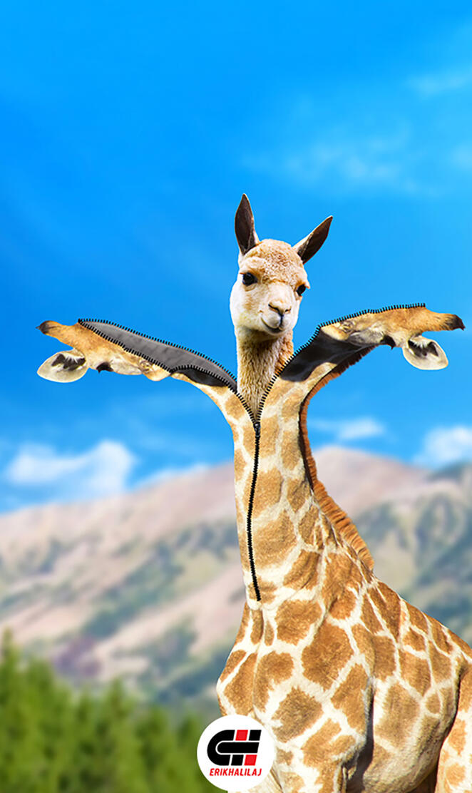 Giraffe-erikhalilaj