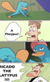RICARDO THE PLATYPUS