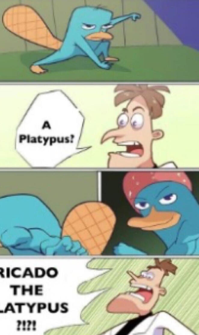 RICARDO THE PLATYPUS