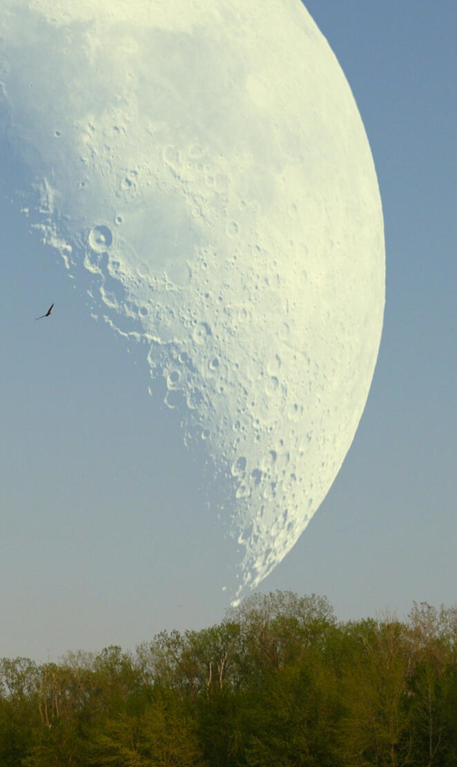 Big Moon