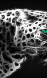Leopard Fractal
