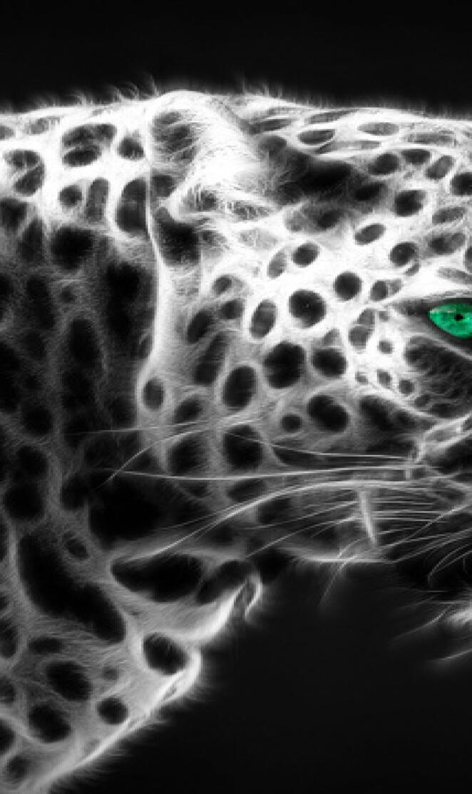 Leopard Fractal