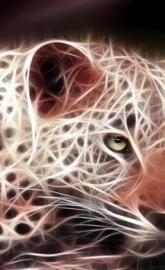 Leopard-Fractal