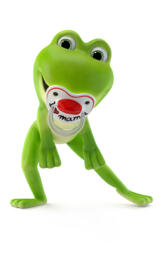 Bibi Frog