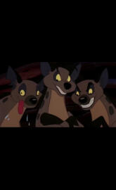 TLK SBE Hyenas