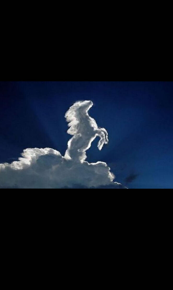 Cheval nuage