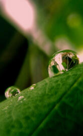 Droplet2