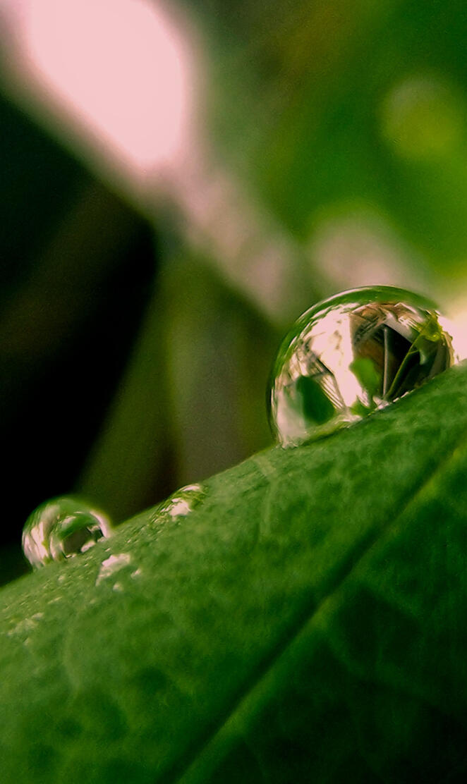 Droplet2