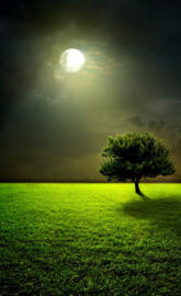 Full After Rain Moon