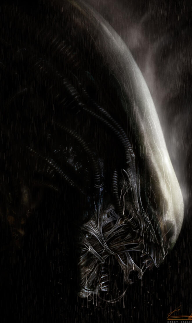 Xenomorph 