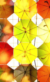 Rain Rain Come Again