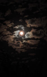 Syed haider ali shah