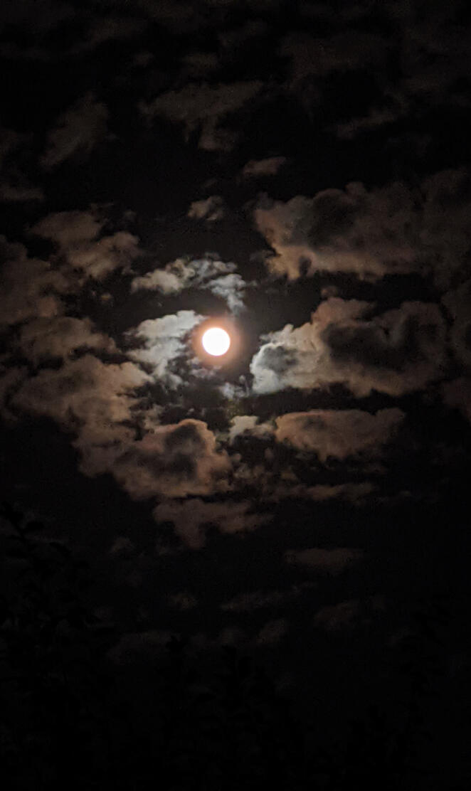 Syed haider ali shah