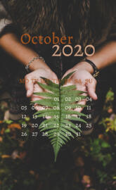 October 2020