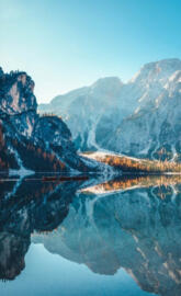 A lively refreshment