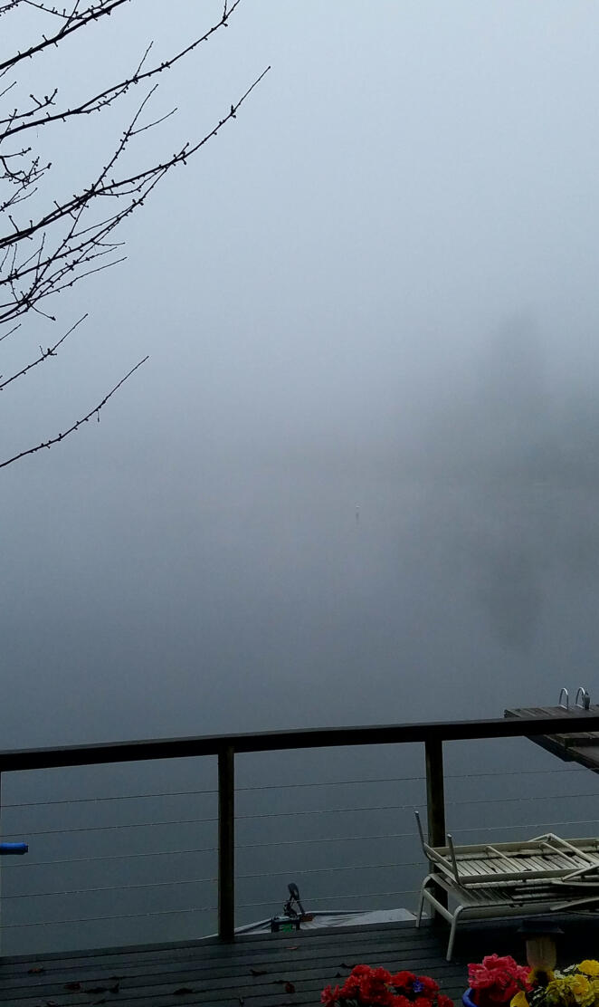 Foggy lake