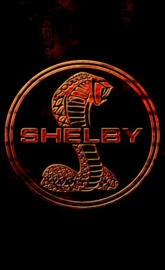 Shelby