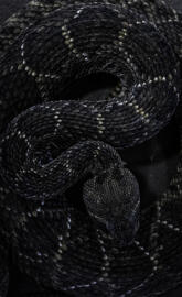 Rattler