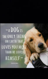 Doggy love