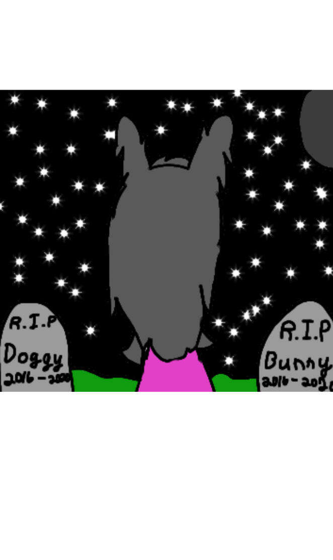 RIP Bunny and Doggy