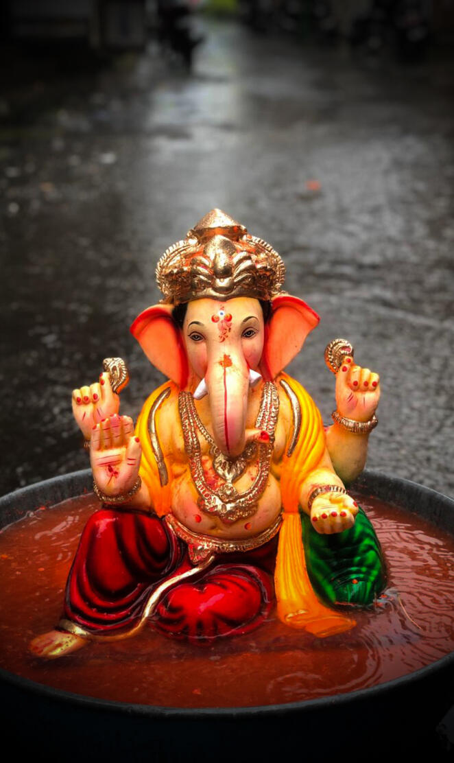 Ganpati visarjan