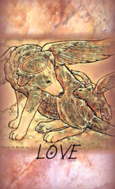 Dog Cat Angels Love