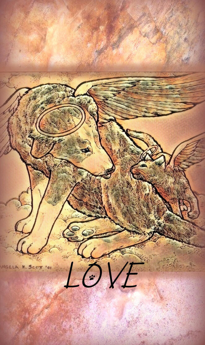 Dog Cat Angels Love