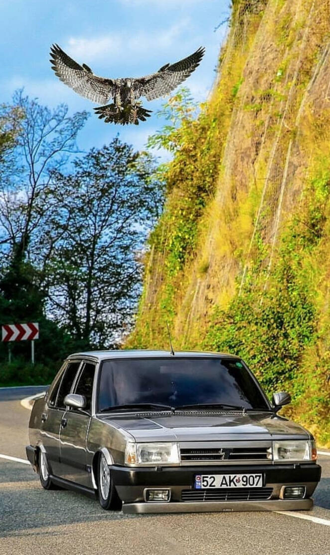 Tofasomerfarukyardmc