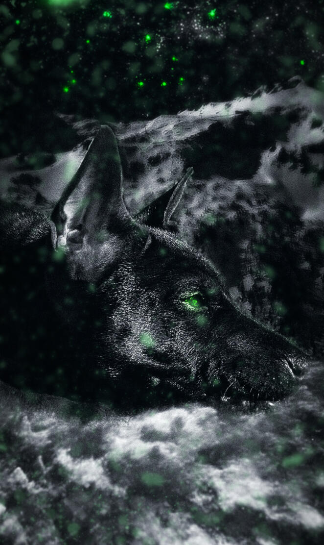 Thai ridgeback green