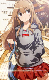 Taiga Aisaka