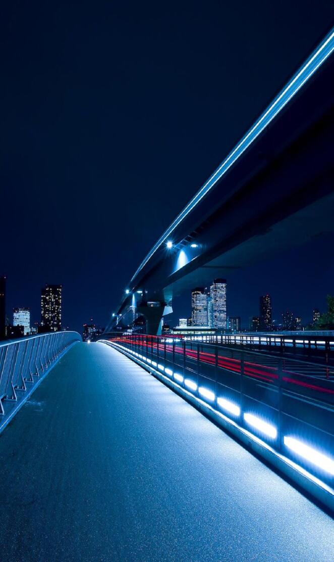 Tokyo Bridge