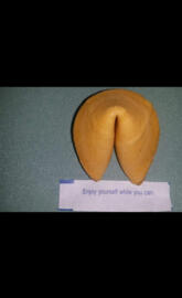 fortune cookie 