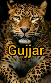 Rabee ur Rehman Gujjar