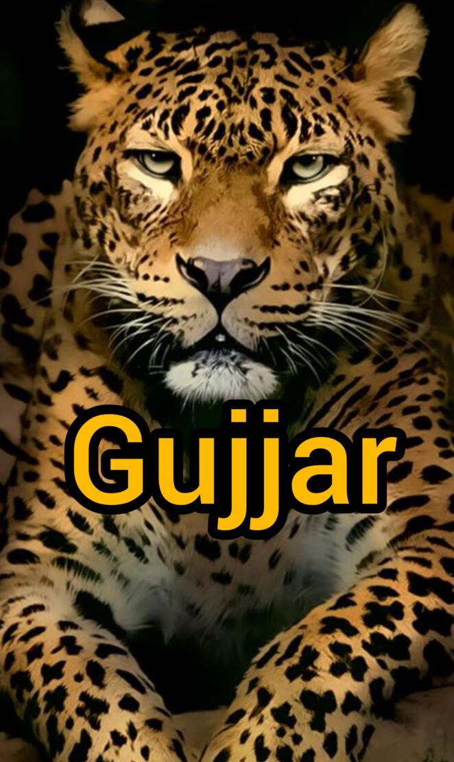 Rabee ur Rehman Gujjar