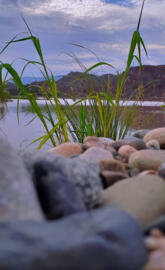 River