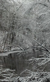 River In Winter