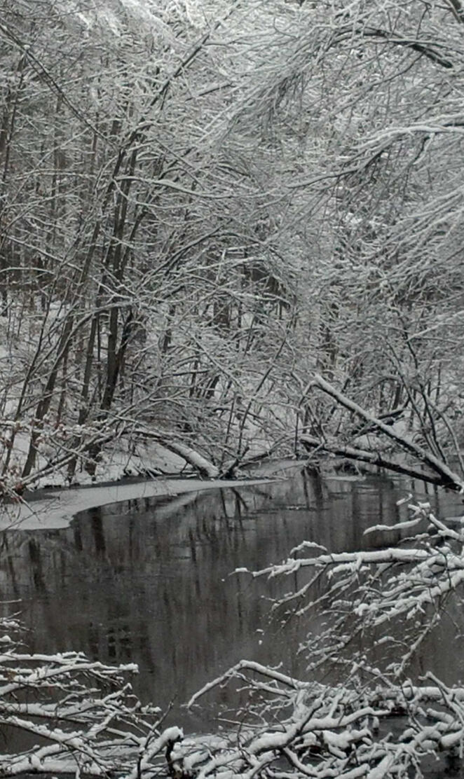 River In Winter