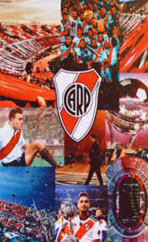 Historia de river 