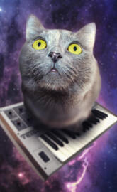 Musical Space Cat