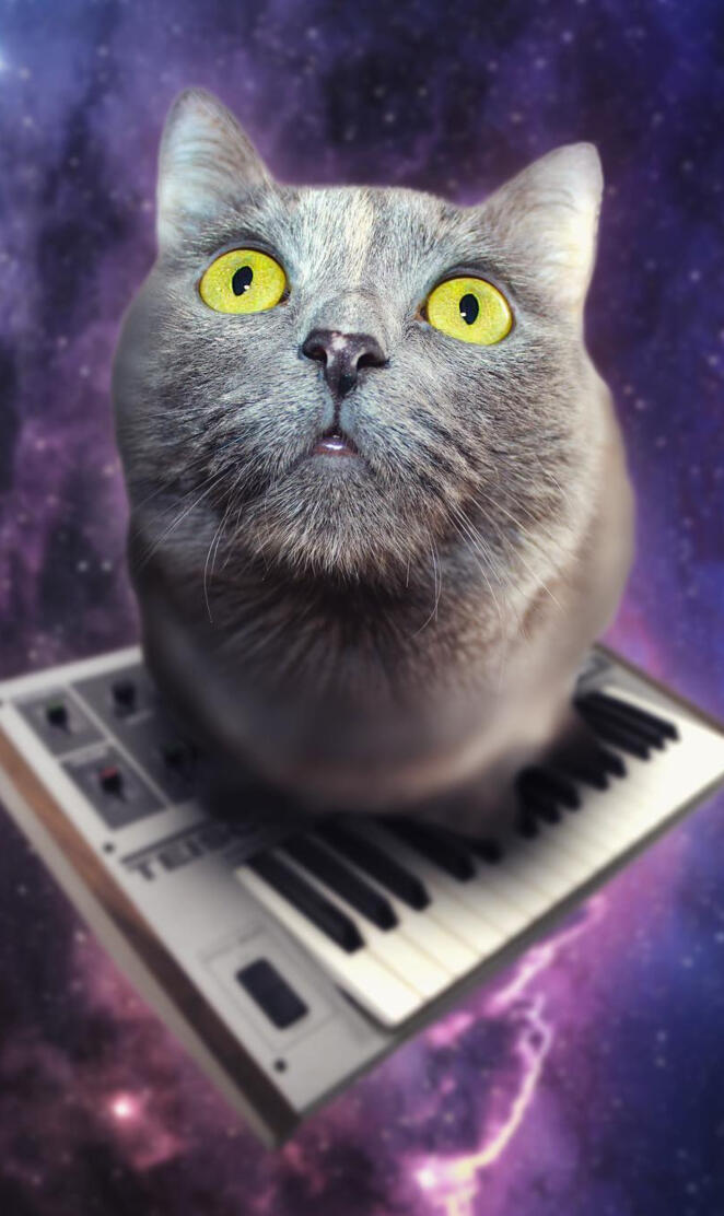 Musical Space Cat