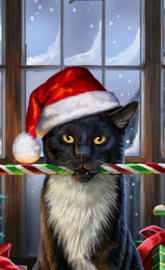 Lisa Parker krampuss