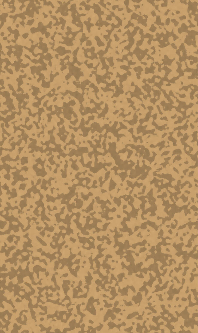 Desert Camo