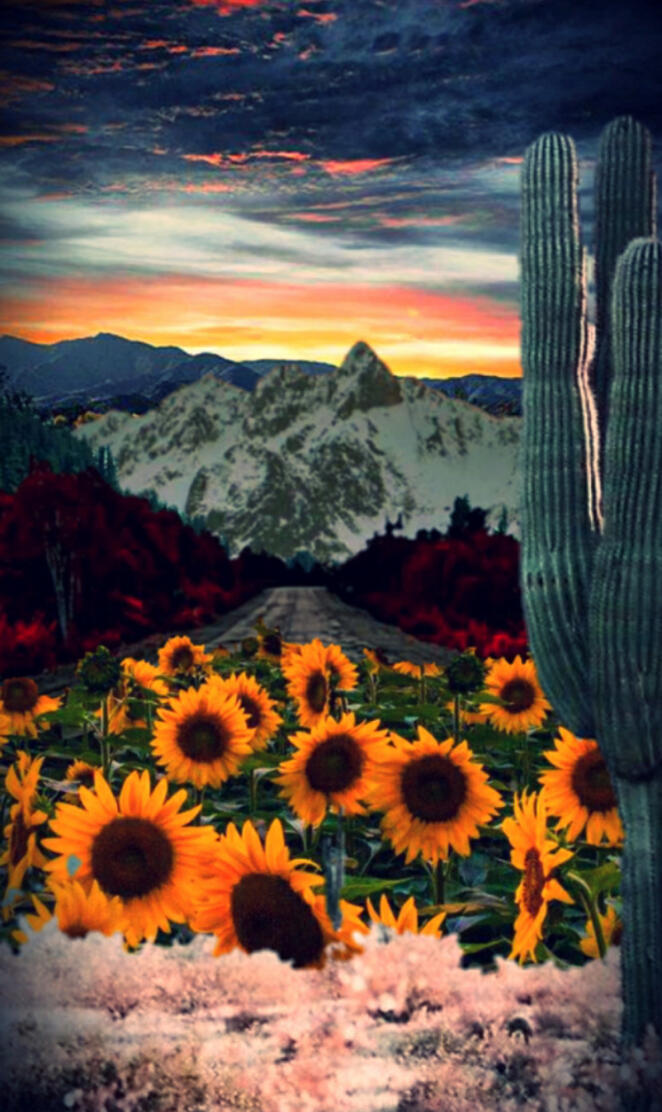 Multiple landscapes