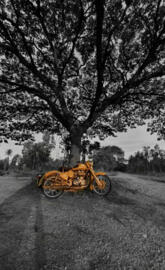 Royal enfield 