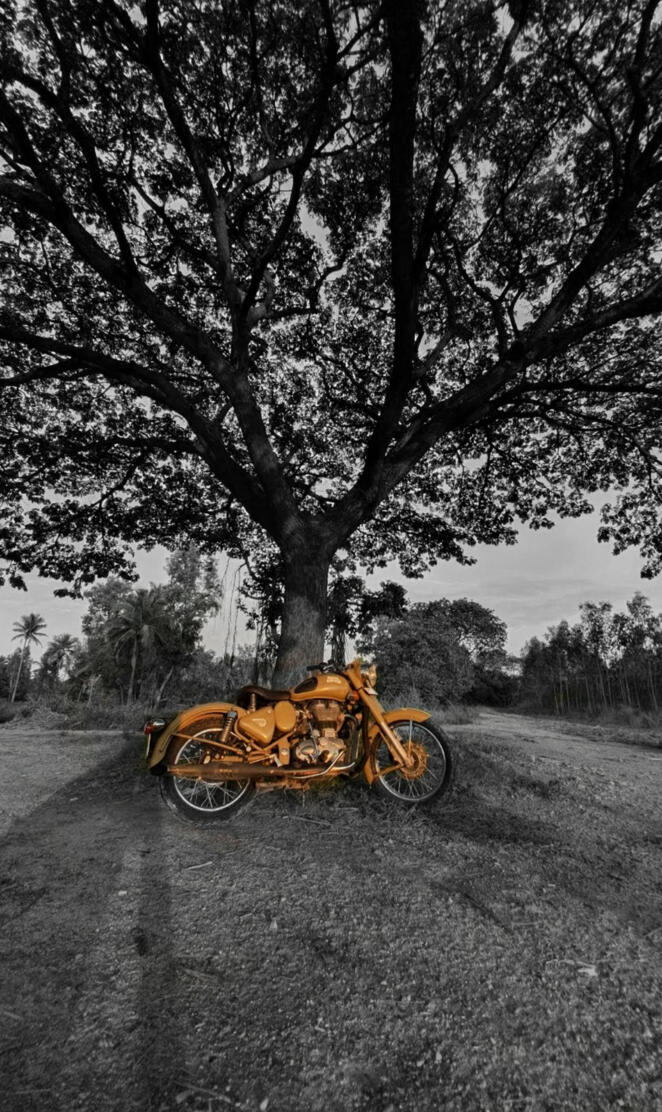Royal enfield 