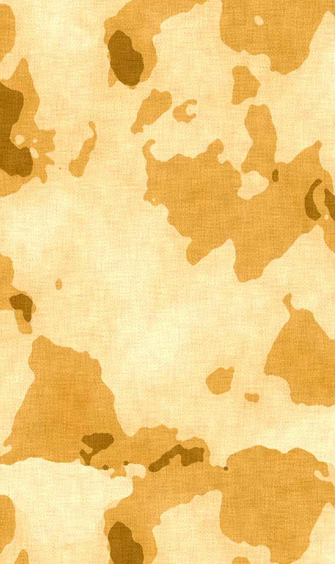 desert camo