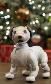Robo Dog