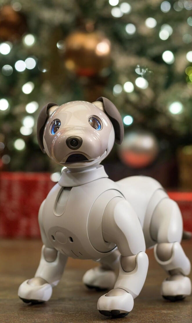 Robo Dog
